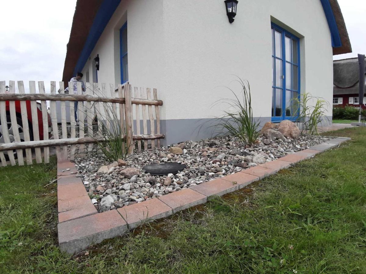 Ferienhäuser Luv und Lee OVS 106 Neu 20 Zierow Exterior foto