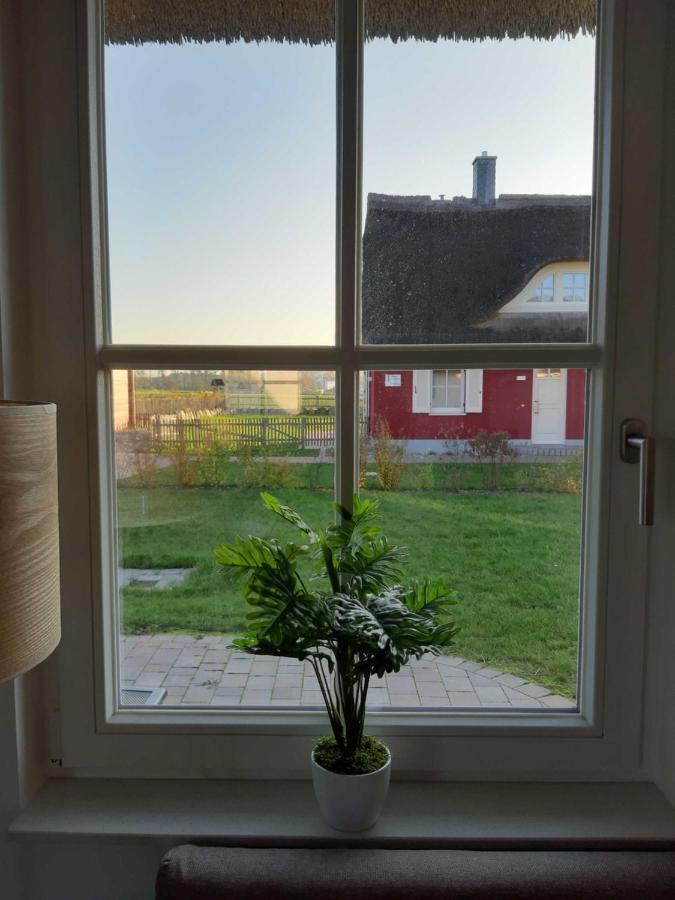 Ferienhäuser Luv und Lee OVS 106 Neu 20 Zierow Exterior foto